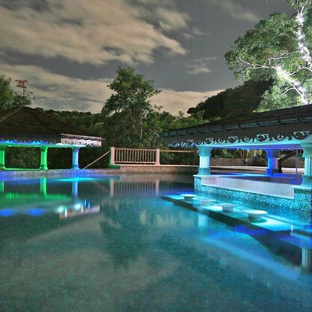 ホテル Tropical Hideaway Port Elizabeth エクステリア 写真