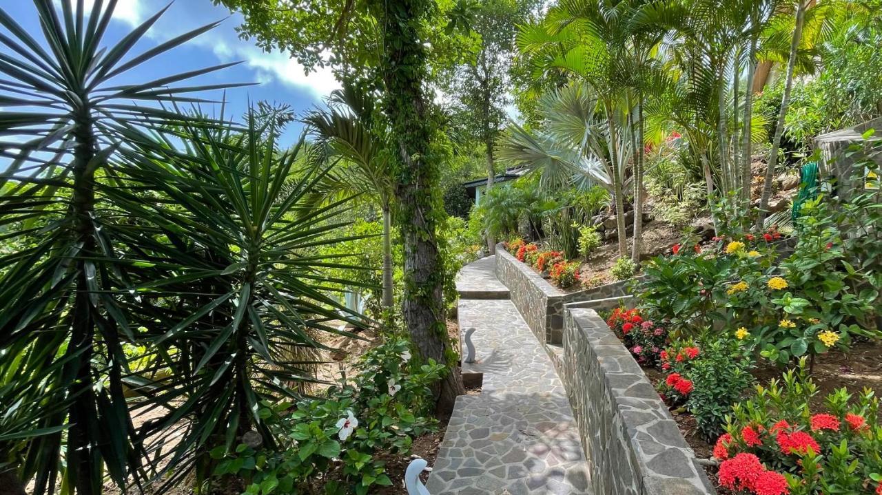 ホテル Tropical Hideaway Port Elizabeth エクステリア 写真