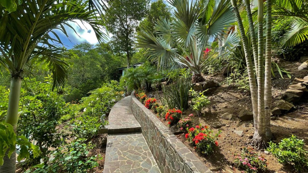 ホテル Tropical Hideaway Port Elizabeth エクステリア 写真