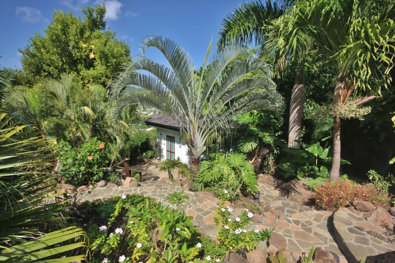ホテル Tropical Hideaway Port Elizabeth エクステリア 写真