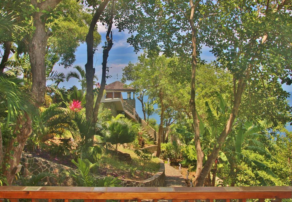 ホテル Tropical Hideaway Port Elizabeth エクステリア 写真