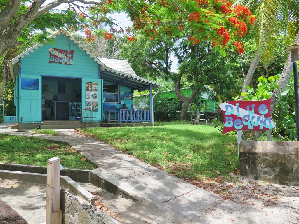 ホテル Tropical Hideaway Port Elizabeth エクステリア 写真