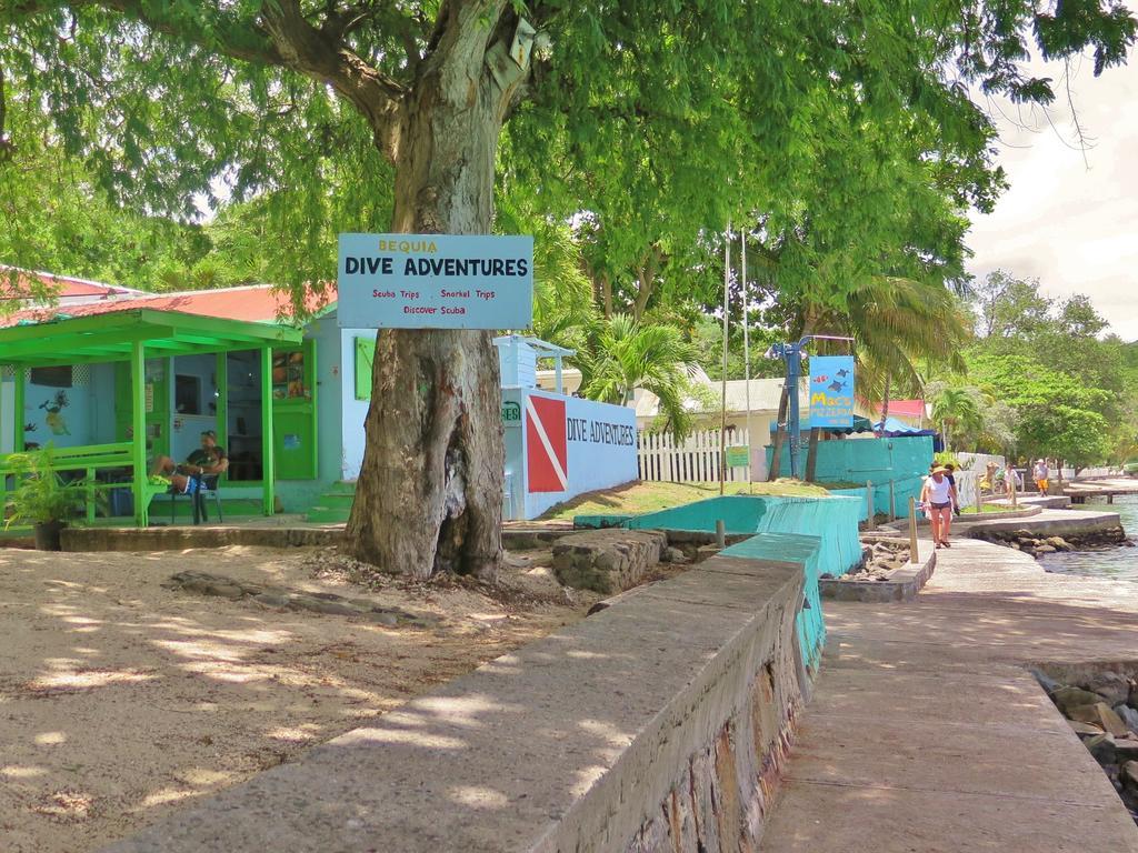 ホテル Tropical Hideaway Port Elizabeth エクステリア 写真